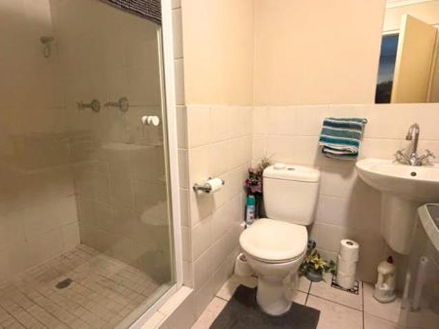 Bachelor apartment in Wellington Central