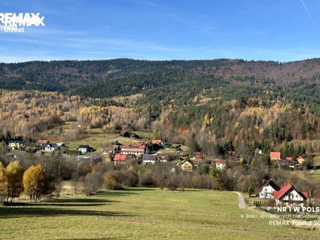 Bacówka 1 500 m², Las