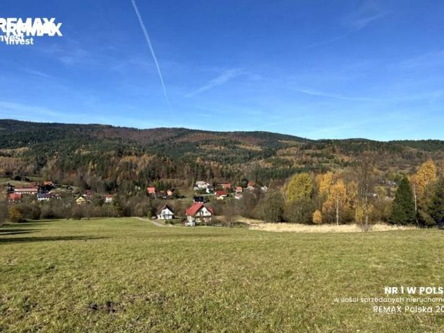 Bacówka 23 200 m², Las
