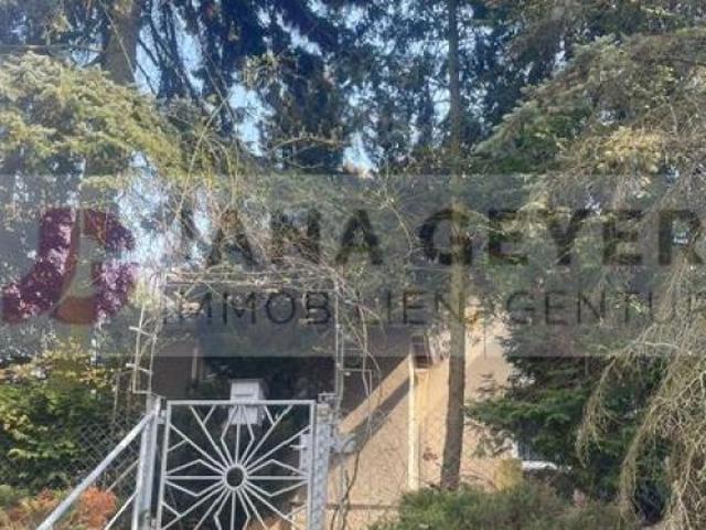 BAD SCHMIEDEBERG * GROSSES GRUNDSTÜCK mit EINFAMILIENHAUS sanierungsbedürftig * leerstehend * ab sofort zur Verfügung