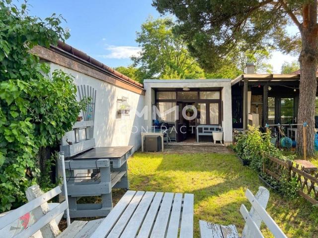Badehaus mit Privatsteg_Superädifikat am Neufelder See I &Gt  Uferparzelle &Lt  Neue Preisgestaltung!