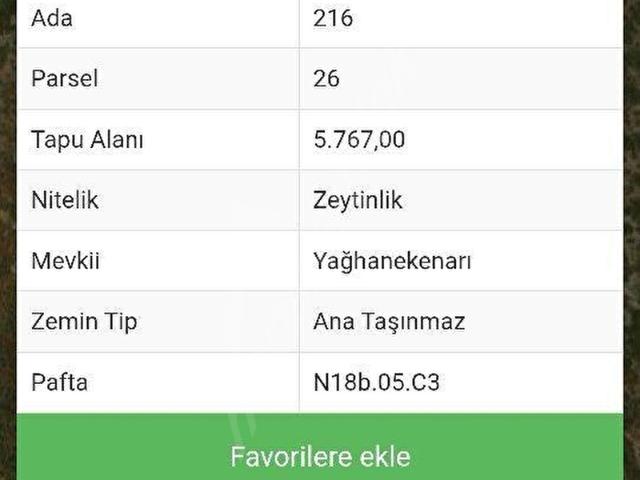 BAFA GÖLÜ MANZARALI ZEYTİNLİK