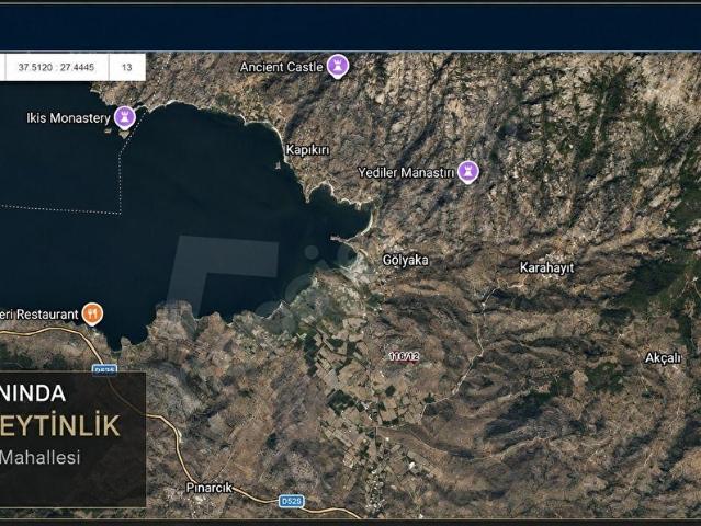BAFA GÖLÜ YAKININDA ACİL! SATILIK 33.431 m ZEYTİN AĞAÇLI ARAZİ