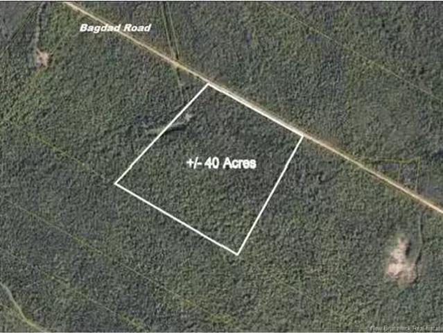 Bagdad Rd, Youngs Cove, NB, E4C 2H6 vacant land for sale.