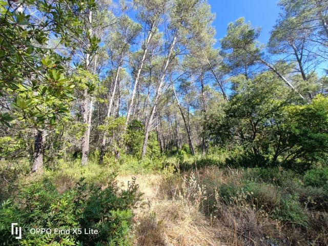 Bagnols en Forêt Vente Terrain 83