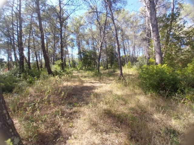 Bagnols en Forêt Vente Terrain 83