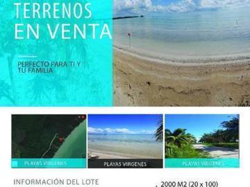 Bahia lagartos