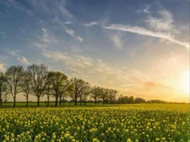 Bahria spring meadow Cannal road Lahore Commercial plot for sale Lahore Jubilee Town ID 12936