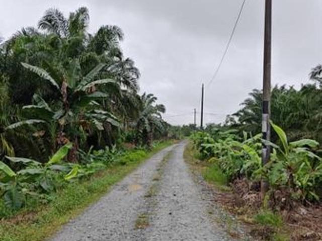 Johor Bahru, Johor, Pontian, Ayer Baloi, Api Api, Jawa Ulu, Palm Oil Land For Sale