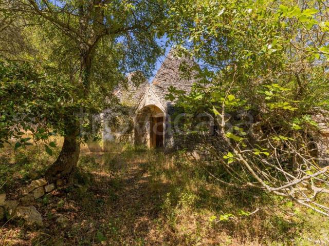 Baita/chalet/trullo in vendita a Monopoli