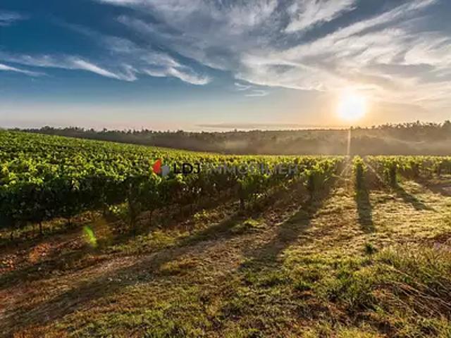 Baixas 66390 Achat / Vente terrain