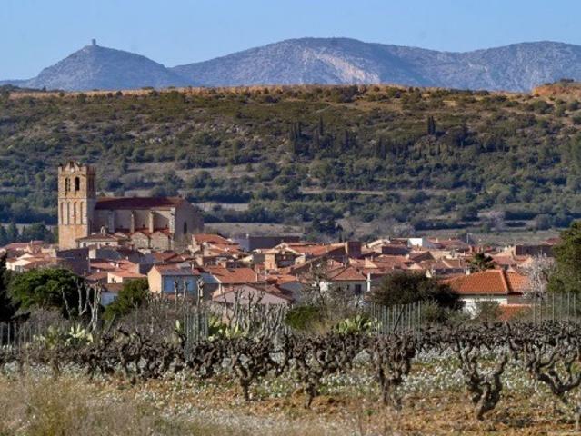 Baixas Vente Terrain 66