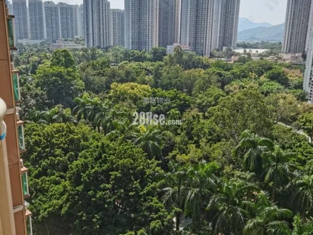 栢慧豪園 #3805 租盤樓盤詳細資料