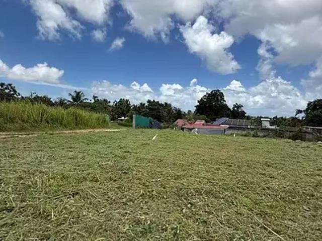 Baie Mahault 97122 Achat / Vente terrain