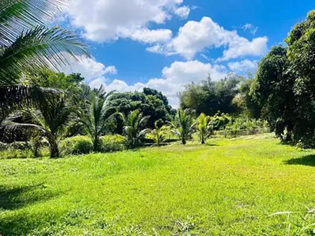 Baie Mahault 97122 Achat / Vente terrain
