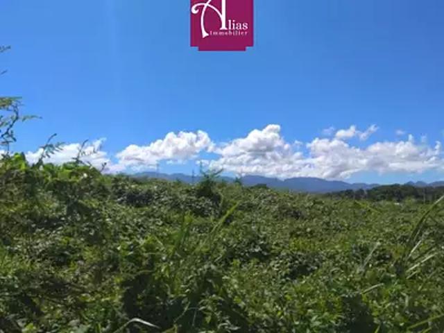 Baie Mahault 97122 Location terrain