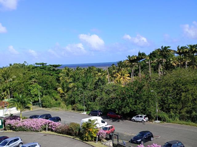 Baie Mahault Vente Appartement 97
