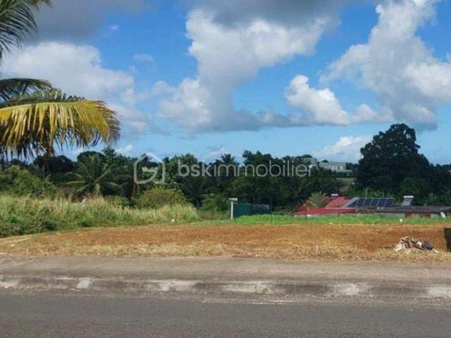 Baie Mahault Vente Terrain 97