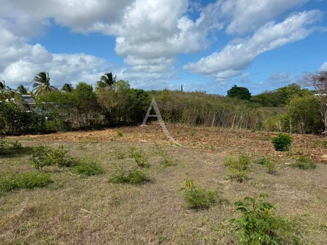 Baie Mahault Vente Terrain 97