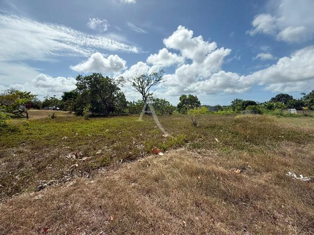 Baie Mahault Vente Terrain 97