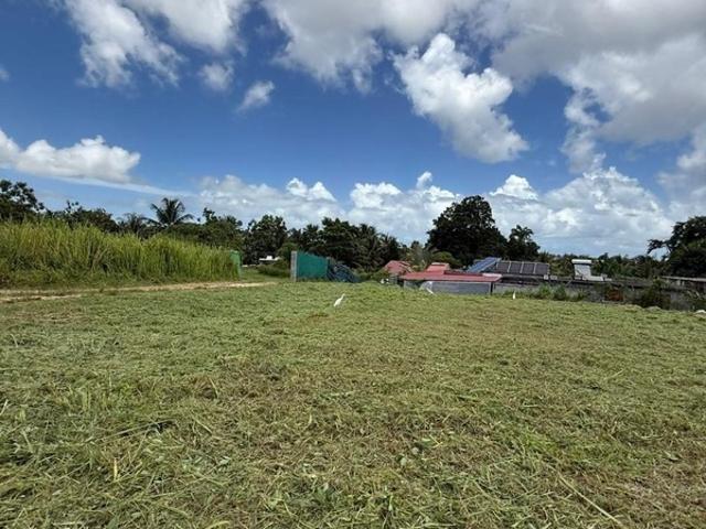 Baie Mahault Vente Terrain 97