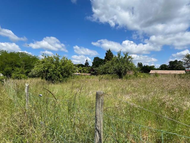 Baigneaux Vente Terrain 33