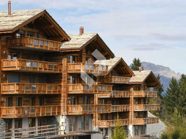 Bains Thermaux aux pieds des pistes de ski! Dreamo. Ch