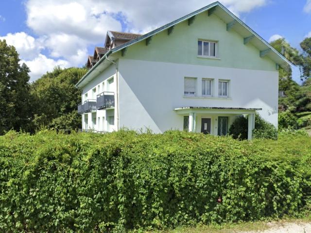 Bains les Bains Vente Immeuble 88
