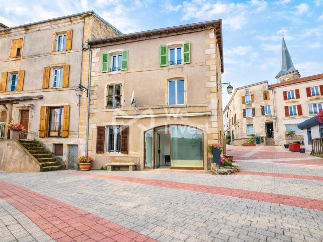 Bains les Bains Vente Immeuble 88