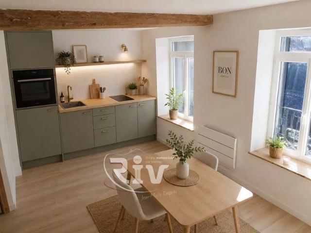 BAISSE DE PRIX VENTE DUPLEX VIENNE