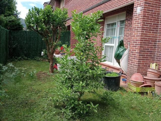 BAJO CON JARDIN TANOS