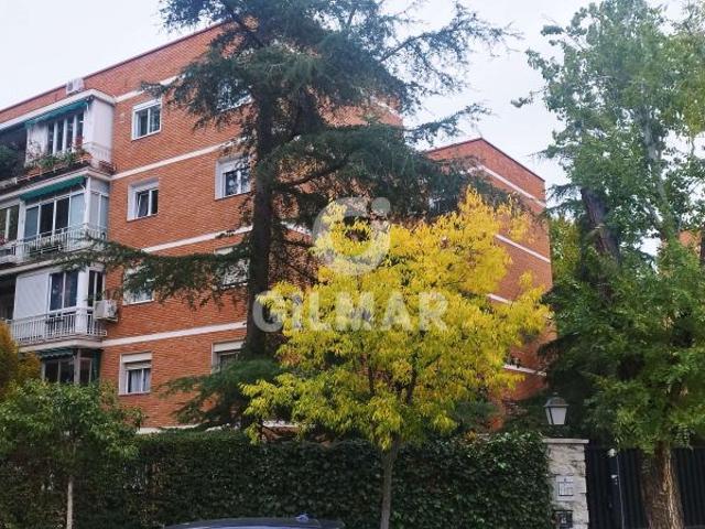 Bajo en alquiler en Mirasierra – Madrid | Gilmar Consulting