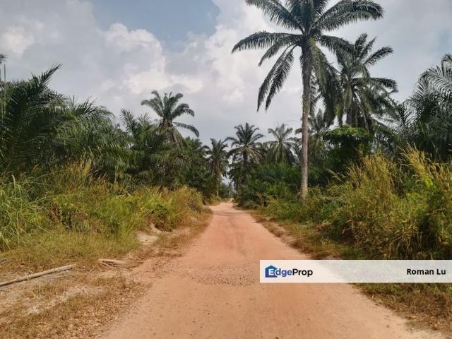 Bakri, Muar, Johor 195 acres Convertible Industrial Land For Sale