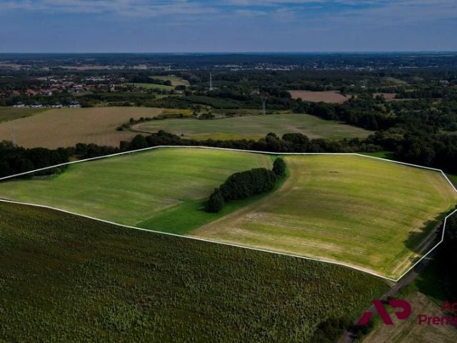 Baltazara Lewandowskiego 67 675 m², Poznań