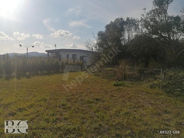 BAL GAYRİMENKULÇATALCADA ELEKTRİK SU HAZIR 580 M2 KÖŞE PARSEL