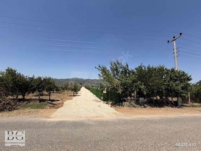 BAL GAYRİMENKUL FARKIYLA 250 M2 BAHÇE