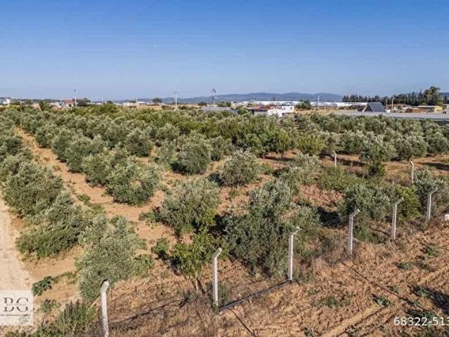 BAL GAYRİMENKUL&İNŞAAT I KÜNER'DE 250M2 BAHÇELER UYGUN FİYATLAR
