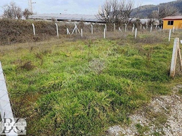 BAL GAYRİMENKUL YENİKÖYDE HARİKA KONUMDA YOLA CEPHELİ BAHÇE