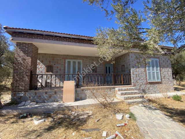 Balıkesir Ayvalık Ta Satılık Ciftlikevi