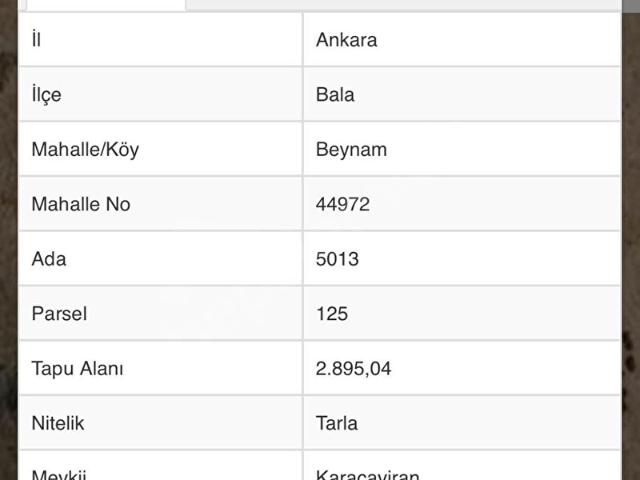 Bala Beynam da Fırsat Yatırımlık Tek Tapu Tarla