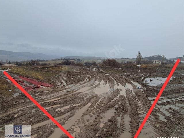 BALA BEYNAM'DA YOL KENARI 1710 M2 BAĞ