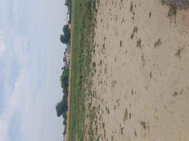 Bala Ji Real Estate 150 Sq. Yd. Plot in Sector 68 Faridabad Listing ID: #10237