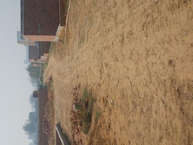 Bala Ji Real Estate 77 Sq. Yd. Plot in Kulesara Greater Noida Listing ID: #10167