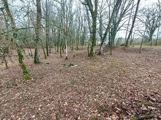 Baladou 46600 Achat / Vente terrain