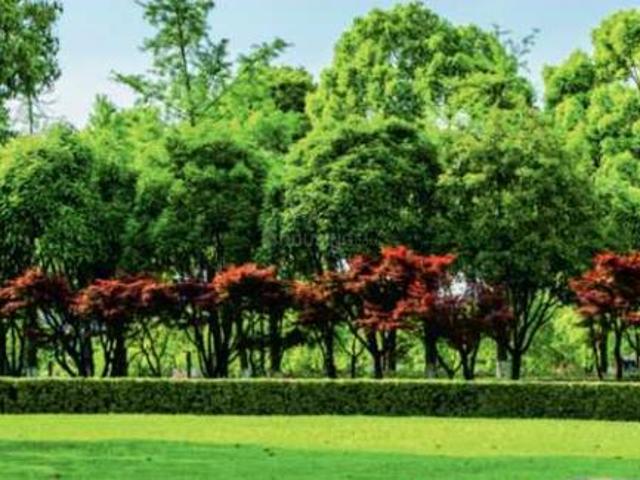 Balanagar Residential Plot For Sale Hyderabad
