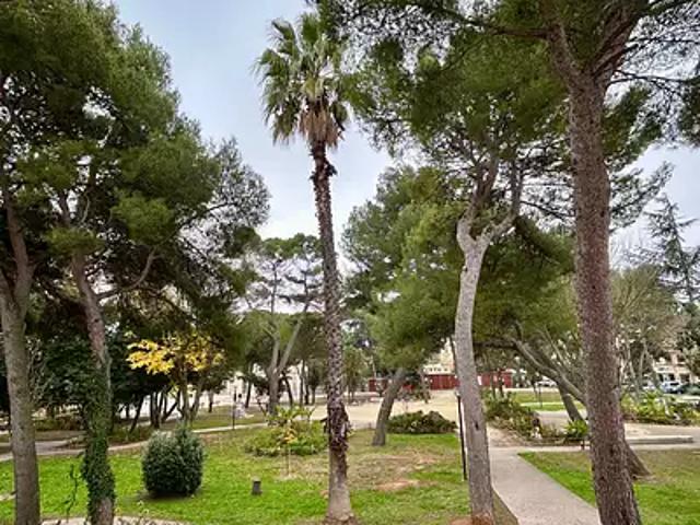 Balaruc les Bains 34540 Achat / Vente appartement 3 pièces t3