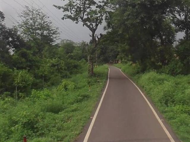 Balawala, Dehradun South 225 Sq.Yd. Plot in Balawala Dehradun Listing ID: #10311