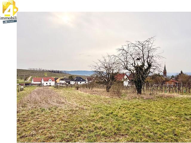 Balbronn Vente Terrain 67