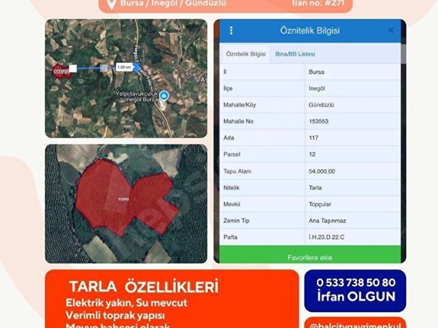 BALCİTY İnegöl Gündüzlü Mah. Resmi Yola Cephe, Müstakil 54 Dönüm Yatırımlık Bahçe