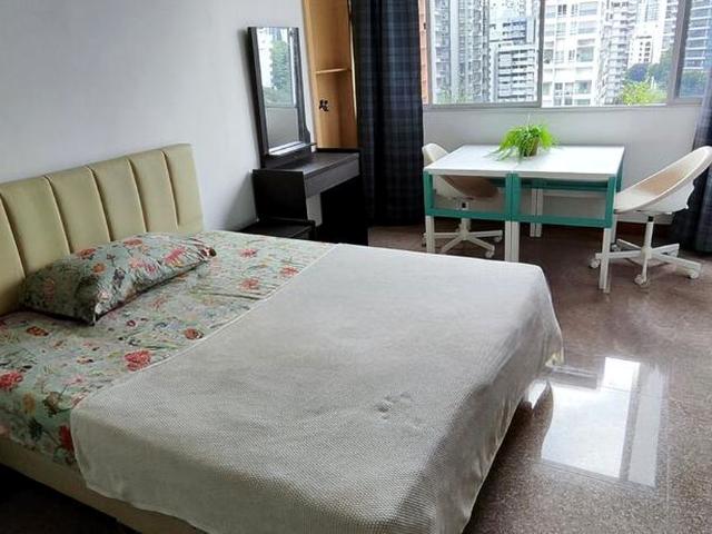 Balestier Plaza D12, Apartment